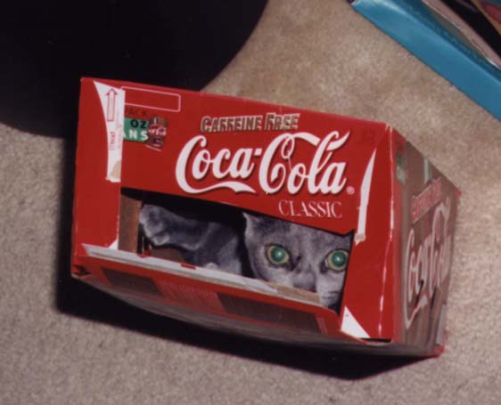 coke.jpg